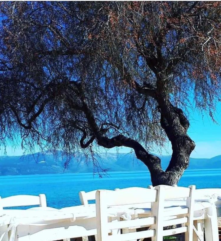 Eratous Seaside House Villa Agii Dimitrios ke Panteleimon Exterior foto